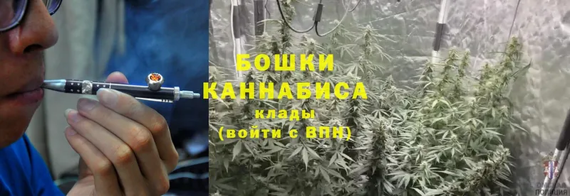 где продают наркотики  Нальчик  Шишки марихуана Ganja 